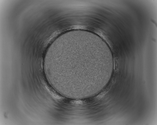 X0000100420253200806271514