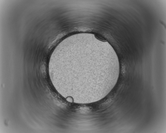 X0000100420256200806271514