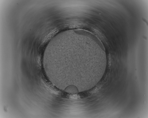 X0000100420258200806271514