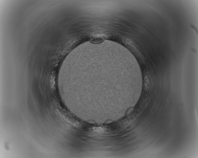 X0000100420259200806271514