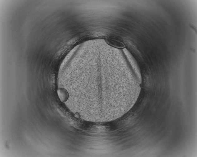 X0000100420260200806271514