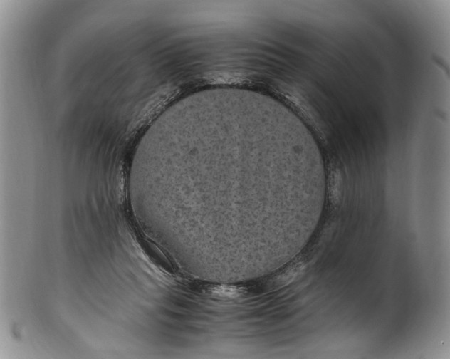 X0000100420261200806271514