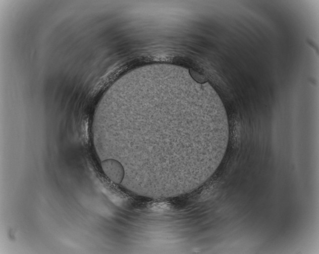 X0000100420262200806271514