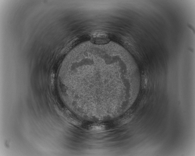 X0000100420263200806271514