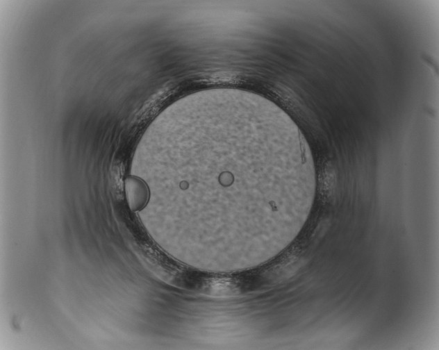 X0000100420264200806271514