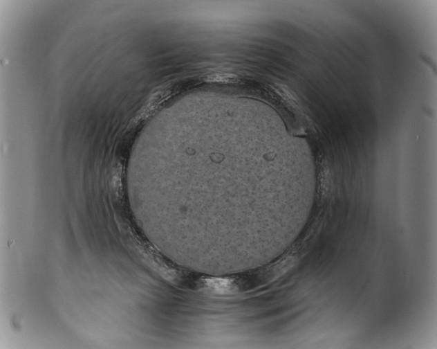 X0000100420265200806271514