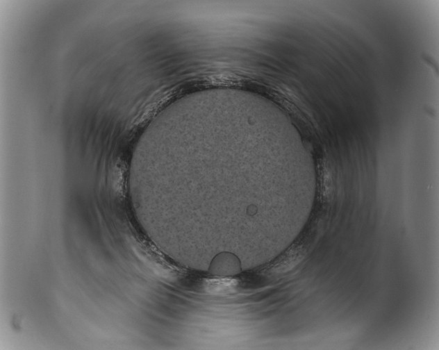 X0000100420266200806271514