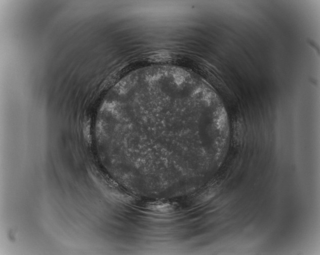 X0000100420267200806271514