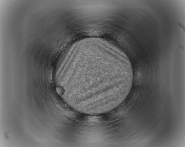 X0000100420268200806271514