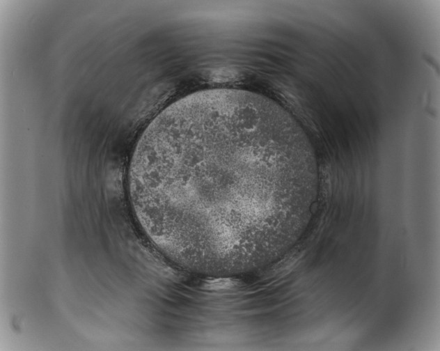 X0000100420269200806271514