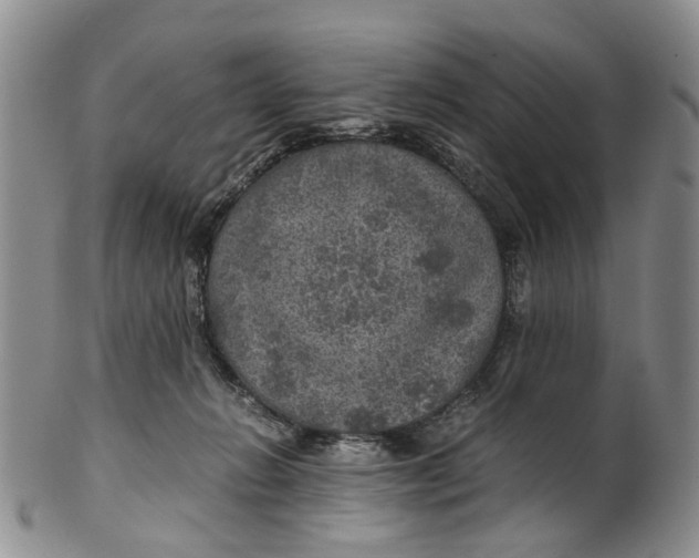 X0000100420270200806271514