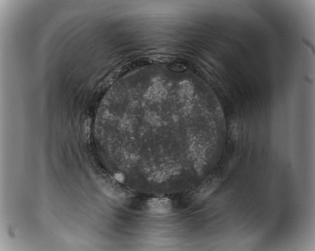 X0000100420271200806271514