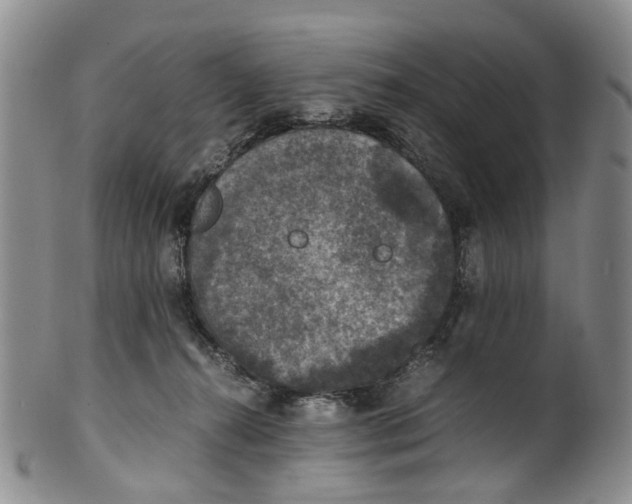 X0000100420272200806271514