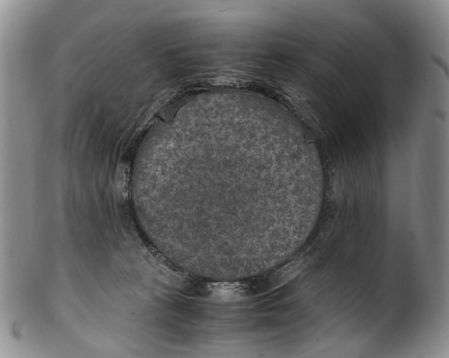 X0000100420273200806271514