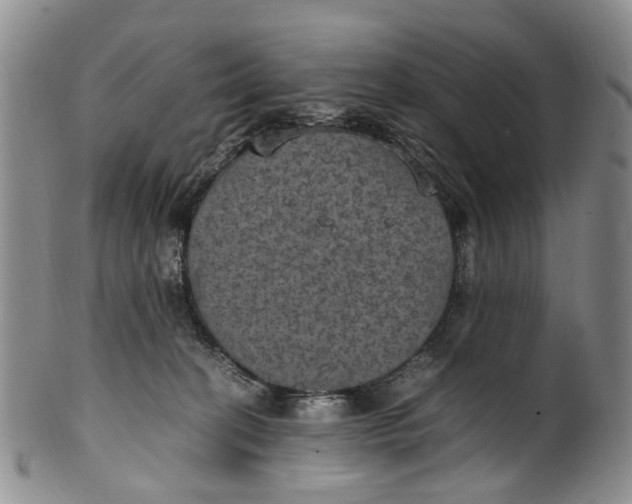 X0000100420274200806271514