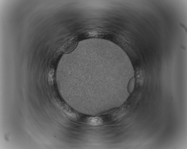 X0000100420275200806271514