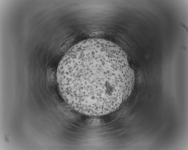 X0000100420276200806271514