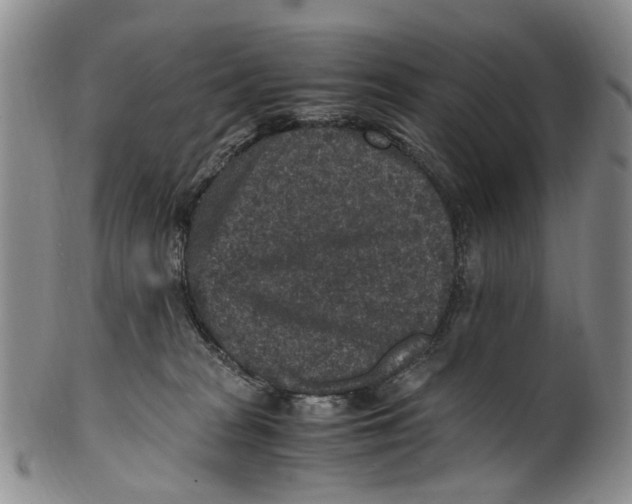 X0000100420277200806271514