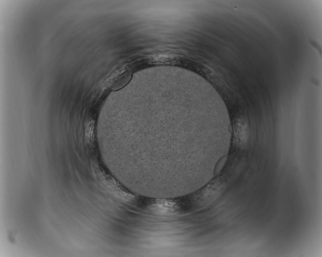 X0000100420278200806271514