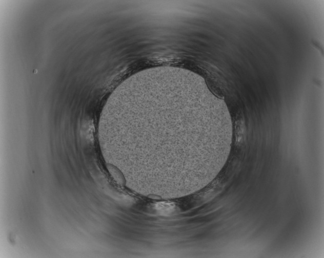 X0000100420279200806271514