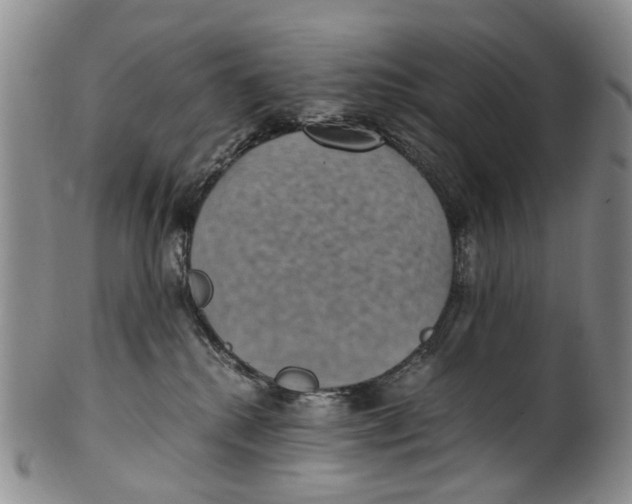 X0000100420280200806271514