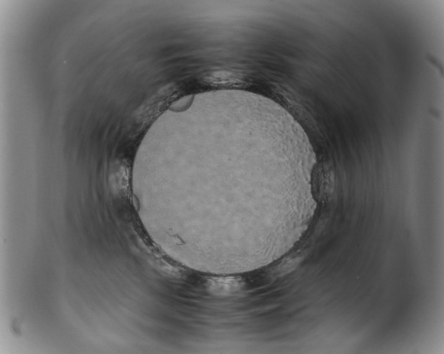 X0000100420281200806271514