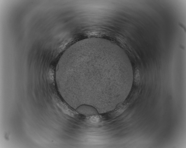 X0000100420282200806271514