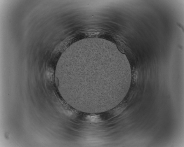 X0000100420283200806271514