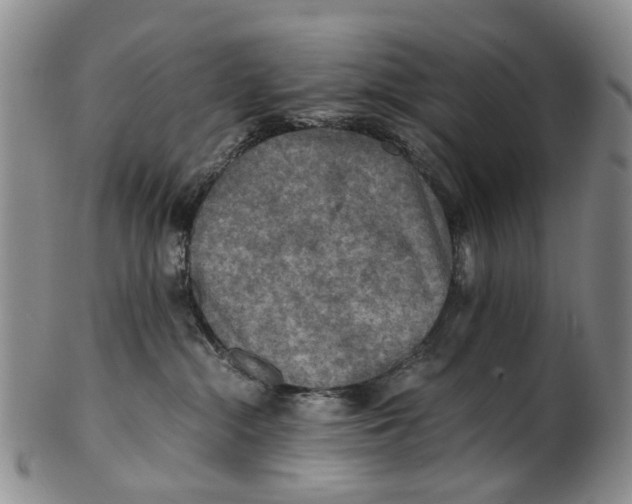 X0000100420284200806271514