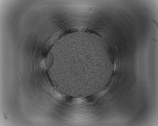 X0000100420286200806271514