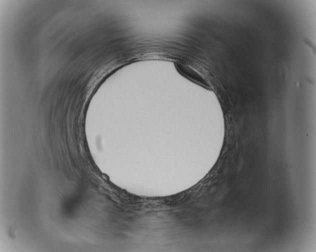 X0000100420289200806271514