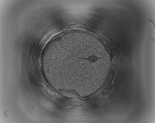 X0000100420290200806271514