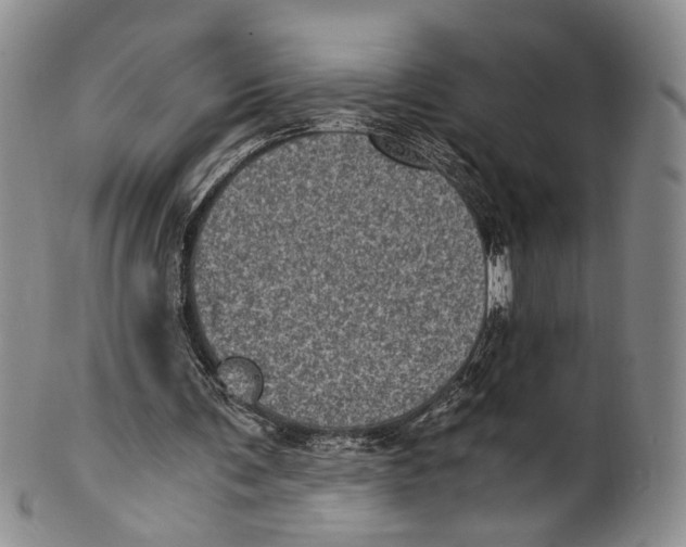 X0000100420291200806271514