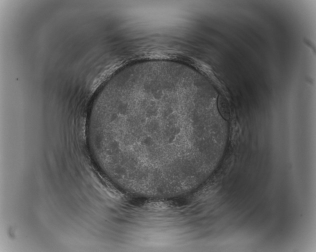 X0000100420299200806271513