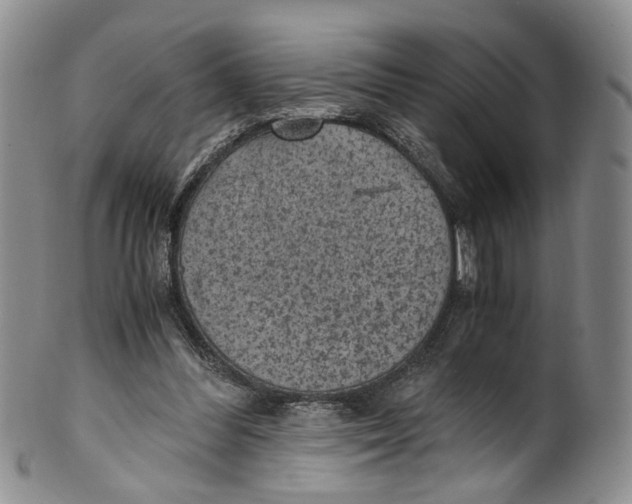 X0000100420300200806271513