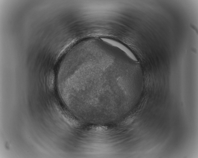 X0000100420304200806271513