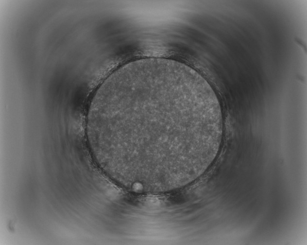 X0000100420305200806271513