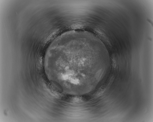 X0000100420308200806271513