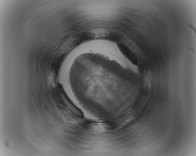 X0000100420316200806271513