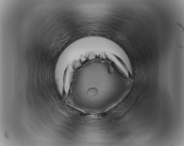 X0000100420320200806271513