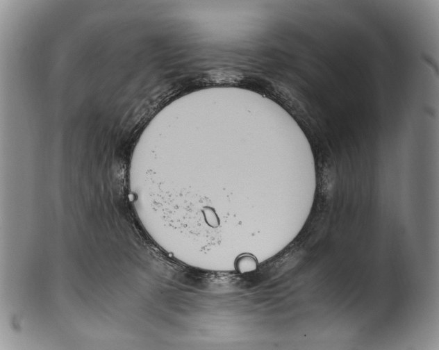 X0000100420321200806271513