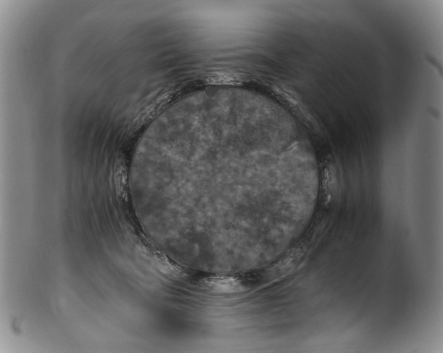 X0000100420322200806271513