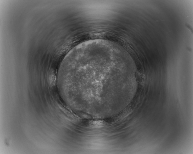 X0000100420324200806271513