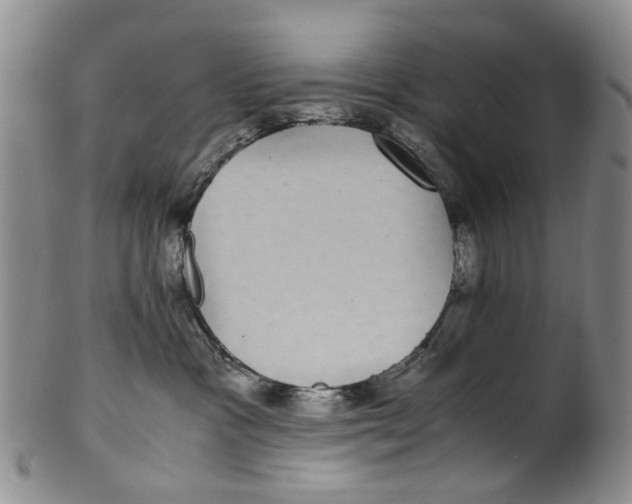 X0000100420333200806271513