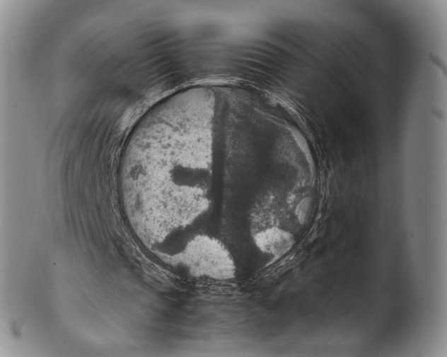 X0000100420337200806271512