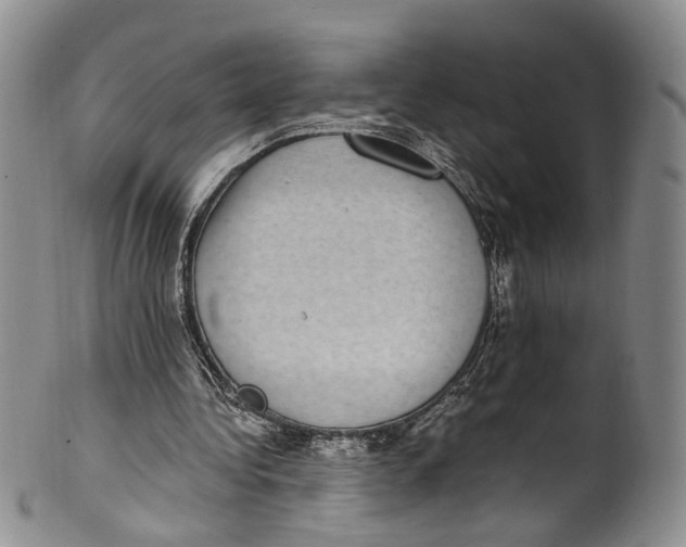 X0000100420340200806271512