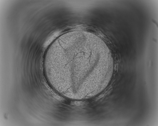 X0000100420341200806271512