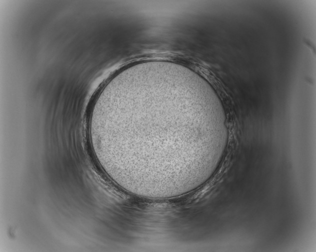 X0000100420342200806271512