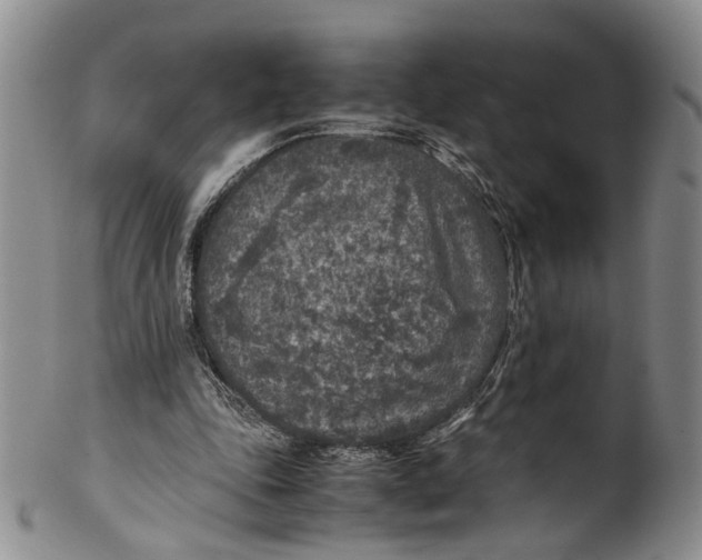 X0000100420343200806271512