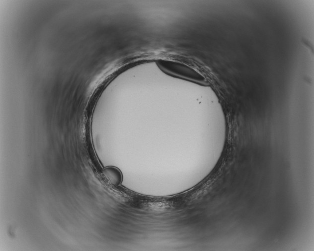 X0000100420344200806271512